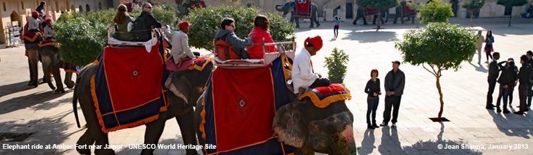 Elephant Ride Jaipur