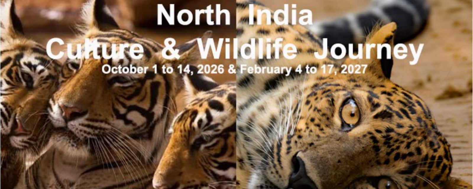 North India Culture & Wildlife Journey